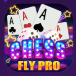 FlyChess Pro